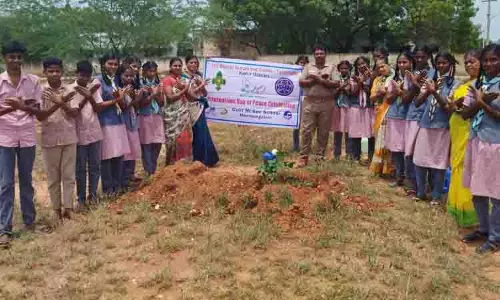 மரக்கன்றுகள் நடும் விழா