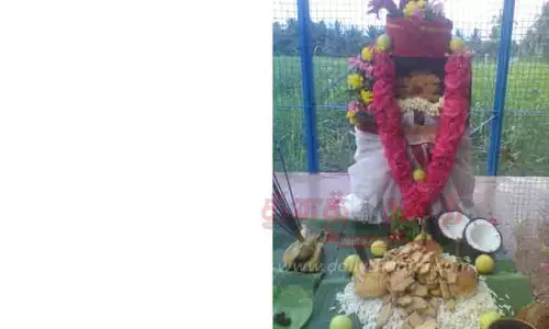 முனியாண்டி சுவாமிக்கு பன், பிஸ்கெட் வைத்து படையல்