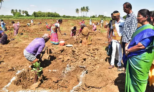 அரசு நிலங்கள், நீர் வழித்தடங்களை ஆக்கிரமித்தால் கடும் நடவடிக்கை