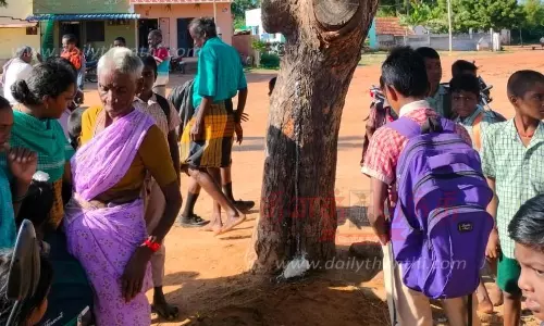 பால் வடிந்த வேப்ப மரத்தை வழிபட்ட மக்கள்