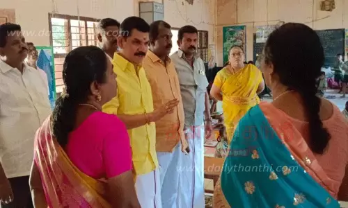 பேட்டை பகுதியில் மாநகராட்சி மேயர் சரவணன் ஆய்வு