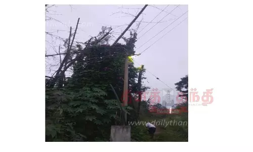 தேவர்சோலையில் செடி-கொடிகள் சூழ்ந்த மின்கம்பம்- அசம்பாவிதம் ஏற்படும் முன், அகற்ற பொதுமக்கள் கோரிக்கை தேவர்சோலையில் செடி-கொடிகள் சூழ்ந்த மின்கம்பம்- அசம்பாவிதம் ஏற்படும் முன், அகற்ற பொதுமக்கள் கோரிக்கை