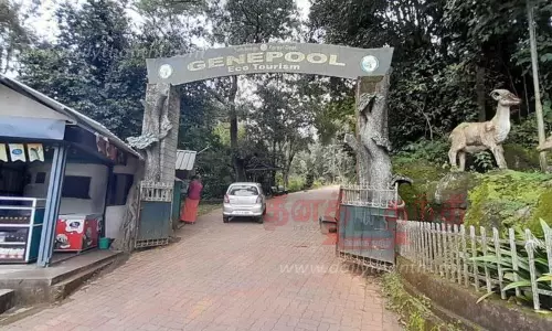 நாடுகாணி தாவரவியல் மையம் 10 நாட்களுக்கு பிறகு திறப்பு நாடுகாணி தாவரவியல் மையம் 10 நாட்களுக்கு பிறகு திறப்பு