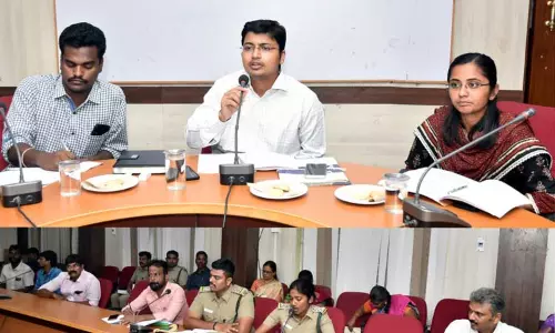 பொது இடங்களில் மரங்களை வெட்டுவதை ஒழுங்குபடுத்த பசுமைக்குழு