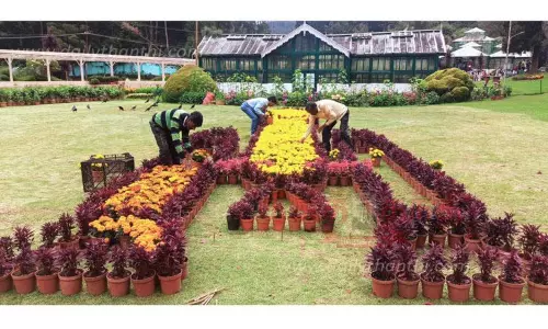 தாவரவியல் பூங்காவை தயார்படுத்தும் பணிகள் மும்முரம்