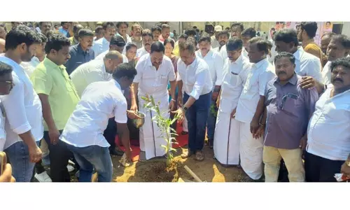 தி.மு.க. சார்பில் மரக்கன்று நடும் விழா