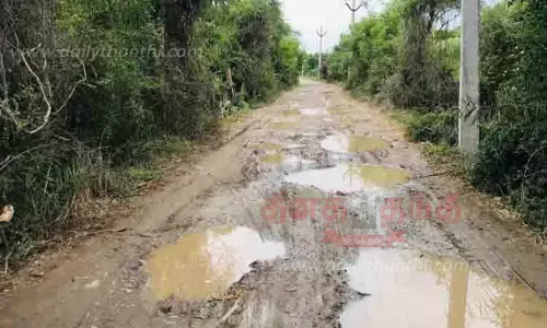 அருமடல்- பேரளி சாலையை சீரமைக்க விவசாயிகள் கோரிக்கை