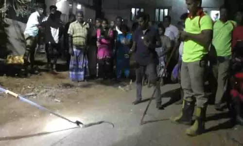 வீட்டிற்குள் புகுந்த பாம்பு