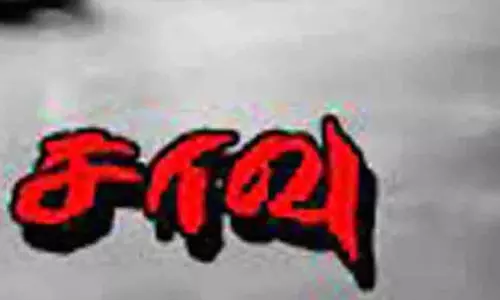 மரத்தில் இருந்து தவறி விழுந்து வாலிபர் சாவு