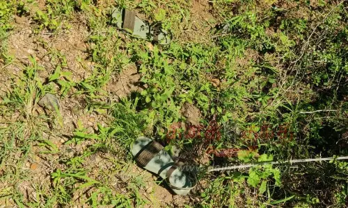 ஓமலூர் அருகே வனப்பகுதியில் இளம்பெண் எரித்துக்கொலை-போலீசார் விசாரணை