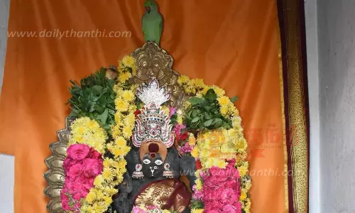 சேலம் கோட்டை மாரியம்மன் கோவிலில் அம்மன் சிலை கிரீடம் மீது அமர்ந்த பச்சைக்கிளியால் பக்தர்கள் பரவசம்
