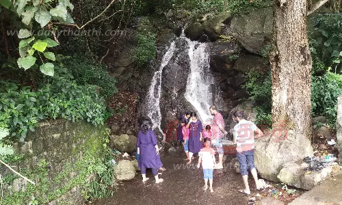 தொடர் மழை காரணமாக ஏற்காடு மலைப்பாதை அருவிகளில் தண்ணீர் கொட்டுகிறது-சுற்றுலா பயணிகள் மகிழ்ச்சி