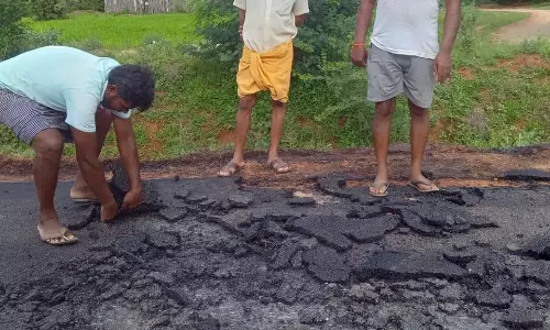 புதிதாக போடப்பட்டு தார்சாலை பிய்ந்துவரும் அவலம்