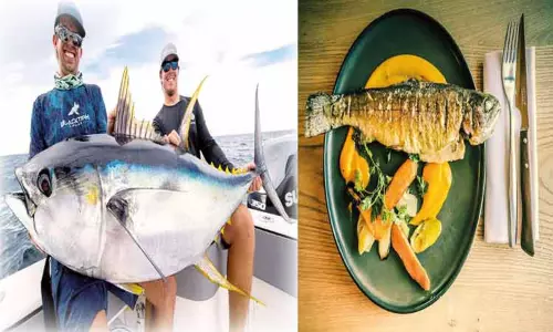 வெப்பத்தால் மீன்கள் சின்னதாகின்றன...