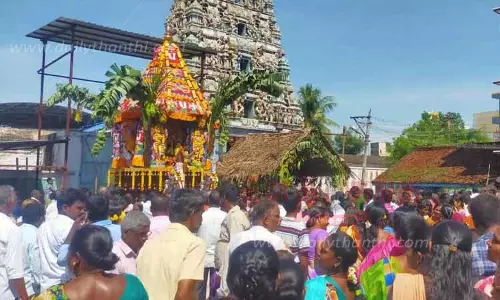 சீனிவாச பெருமாள் கோவில் தேரோட்டம்