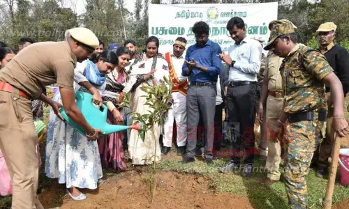 850 சோலை மரக்கன்றுகள் நடவு