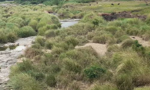 விவசாயம் செய்வது கேள்விக்குறி?