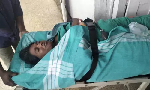 காட்டெருமை தாக்கி பெண் படுகாயம்