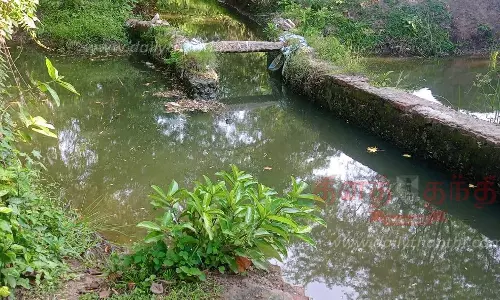 பைங்காட்டூர் பாசன வாய்க்காலை தூர்வார வேண்டும்