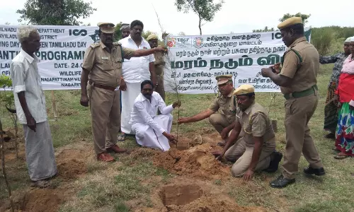 1700 மரக்கன்றுகள் நடும் நிகழ்ச்சி 1700 மரக்கன்றுகள் நடும் நிகழ்ச்சி