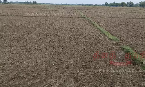 சம்பா விதை நெல் தட்டுப்பாட்டால் விவசாயிகள் கவலை