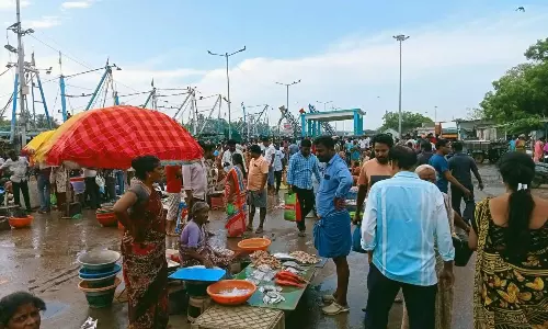 புரட்டாசி மாதம் எதிரொலி:கடலூர் துறைமுகத்தில் மீன்கள் விலை சரிவு