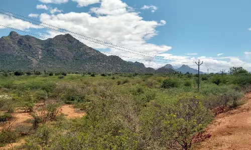 ஆக்கிரமிப்பின் பிடியில் புதுக்குளம் கண்மாய் ஆக்கிரமிப்பின் பிடியில் புதுக்குளம் கண்மாய்