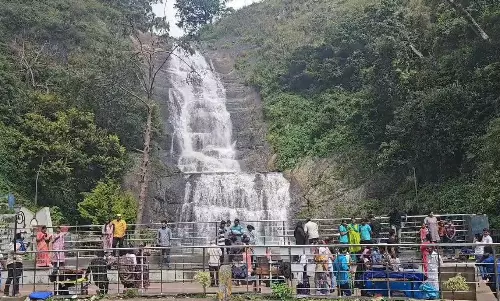 கொடைக்கானலில் குவிந்த சுற்றுலா பயணிகள் கொடைக்கானலில் குவிந்த சுற்றுலா பயணிகள்
