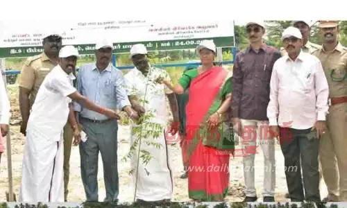 பிம்பலூர் கிராமத்தில் மரக்கன்று நடும் பணி