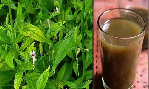 பொதுமக்களுக்கு நிலவேம்பு கசாயம்