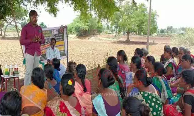 விவசாயிகளுக்கு ஒருங்கிணைந்த பயிர் மேலாண்மை பயிற்சி முகாம்