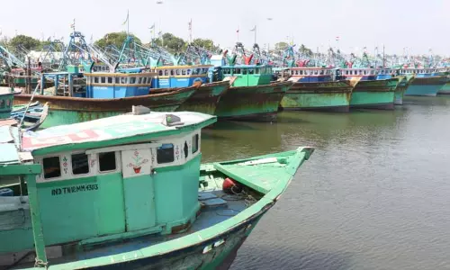 தூத்துக்குடி மீன்பிடி துறைமுகத்தில்விசைப்படகுகள் திடீர் வேலைநிறுத்தம்