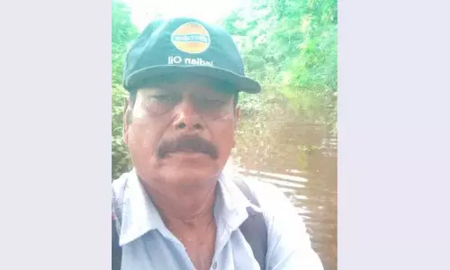 விஷ வண்டுகள் கடித்து காவலாளி சாவு