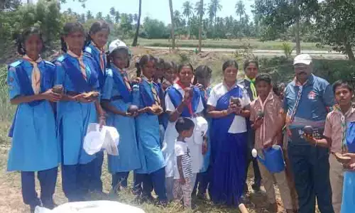 பனை விதைநடும் விழா