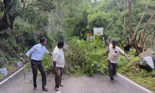 மழைபாதிப்பு மீட்பு பணிக்கு தயார் நிலையில் 100 சாலை பணியாளர்கள்