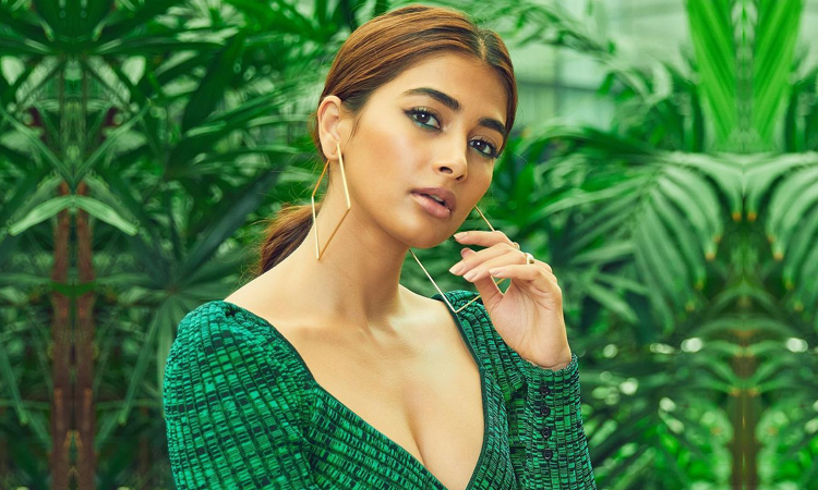 கிரிக்கெட் வீரரை மணக்கும் பூஜா ஹெக்டே?