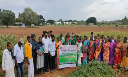 தானிய மதிப்பு கூட்டுதல் குறித்து செயல்விளக்கம்