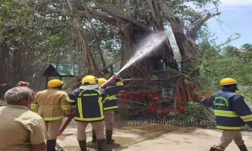 பழமையான ஆலமரம் தீப்பிடித்து எரிந்தது