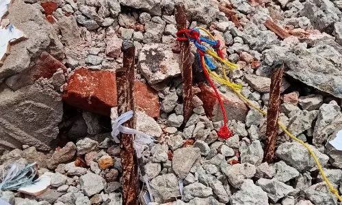 உடுமலை வாரச்சந்தையில் 11½ டன் கம்பிகள் மாயம்