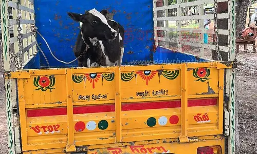 தலைவாசல் அருகேசரக்கு ஆட்டோவில் கன்றுக்குட்டியை கடத்த முயற்சி2 பேர் கைது