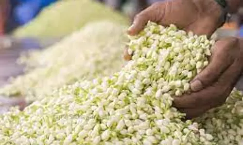 சத்தியமங்கலம் மார்க்கெட்டில் மல்லிகைப்பூ கிலோ ரூ.580-க்கு ஏலம்