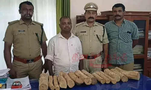 ரூ.10 லட்சம் சந்தன மரக்கட்டைகள் கடத்தியவர் கைது