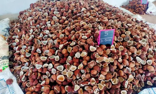 ரூ.5½ லட்சத்திற்கு கொப்பரை ஏலம்