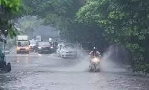 தானேயில் கனமழை; மரம் விழுந்து 9 வாகனங்கள் நொறுங்கின