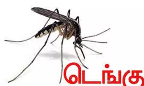 டெங்கு பரவாமல் தடுக்க நடவடிக்கை