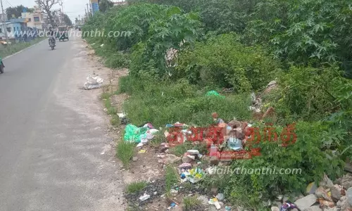 சாலையோரம் வீசப்படும் இறைச்சி கழிவுகளால் சுகாதார சீர்கேடு