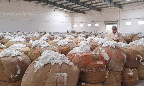 அதிகபட்சமாக ஒரு குவிண்டால் பருத்திரூ.7,349-க்கு விலை போனது அதிகபட்சமாக ஒரு குவிண்டால் பருத்திரூ.7,349-க்கு விலை போனது