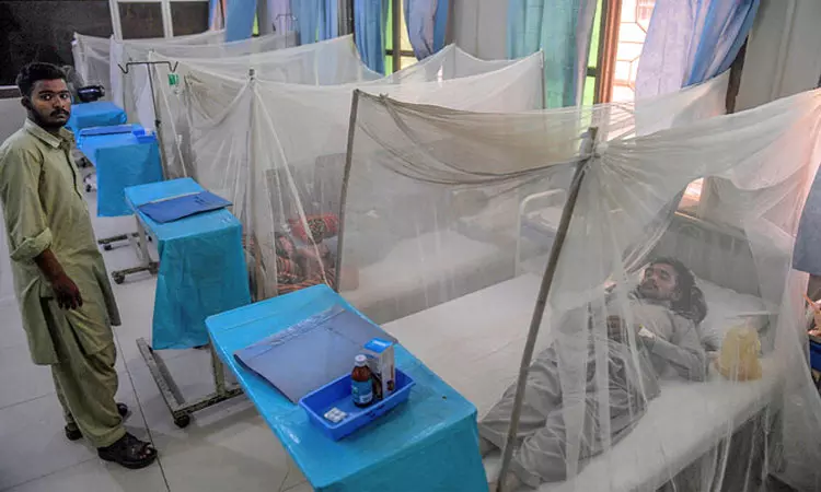 பாகிஸ்தானில் ஒரேநாளில் 159 பேருக்கு டெங்கு காய்ச்சல் பாகிஸ்தானில் ஒரேநாளில் 159 பேருக்கு டெங்கு காய்ச்சல்