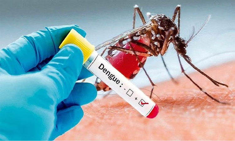 திருப்பத்தூரில் டெங்கு காய்ச்சலுக்கு 4 சிறுமி உயிரிழப்பு..!