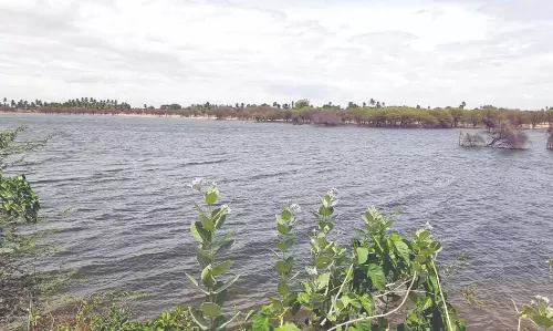 கோதையம்மன் குளத்தின் அருகில் மின்கம்பம் அமைக்க எதிர்ப்பு